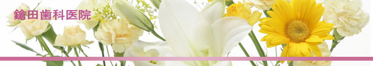 ���c���Ȉ�@ 