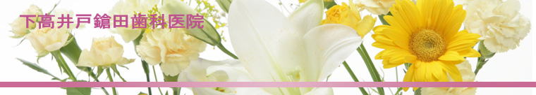 ������ˑ��c���Ȉ�@