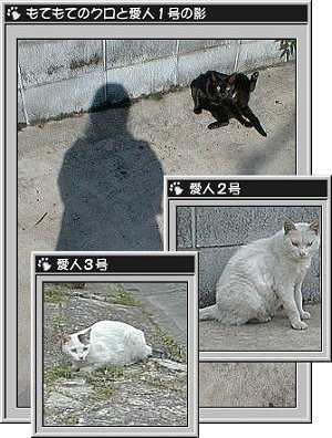 �N���̈��l 42Kb