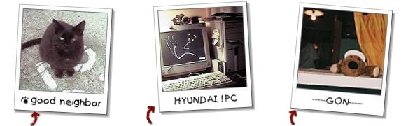 ���̑�photo.jpg 24Kb