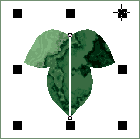 �T�C�Y�ύX.gif 6Kb