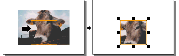 ���R���e�i.gif 18Kb
