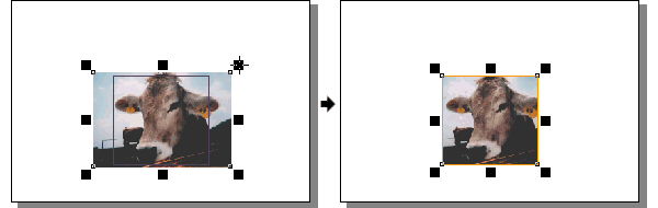 ���R���e���g�ҏW.gif 14Kb