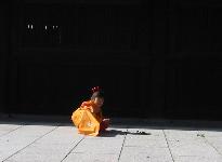 �h���O�����]��������