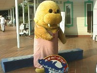 ��m���r�[�`�����h