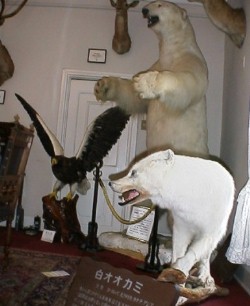 ���������ԃx���̉ƂPF