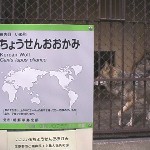 ���s�s������