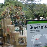 ���s�s������