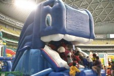 �傫�Ȍ�����C���ŊJ����u�ς�����z�G�[���X���C�_�[�v