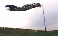 �W�����{��̂ڂ聗���{�s�����a��