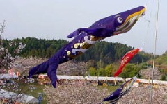 �N�W���̂ڂ�