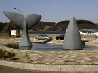 ���n�����̃N�W���̃I�u�W�F