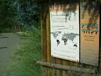 �V�����������̖k����