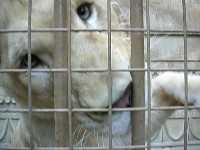 �������H�z���C�g���C�I��