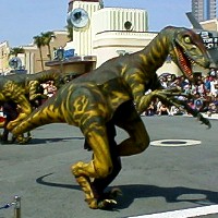 �n���E�b�h�E�v���~�A�E�p���[�h �` �W�����V�b�N�p�[�N�̃��v�g�� �`