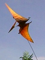 �n���E�b�h�E�v���~�A�E�p���[�h