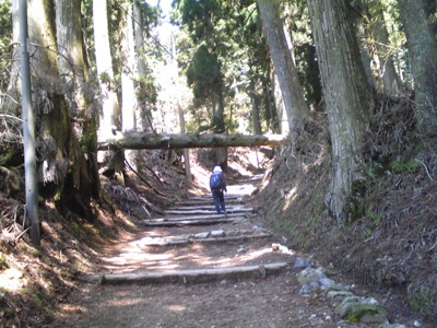 山道に架かったアーチ 山道に架かったアーチ