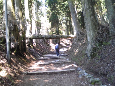 山道に架かったアーチ