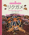 リクガメ 爬虫・両生類ビギナーズガイド リクガメ 爬虫・両生類ビギナーズガイド