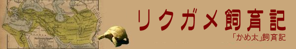 リクガメ飼育記