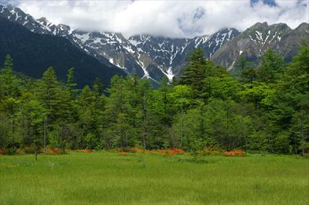 蓮華ツツジと穂高(3190m) 撮影場所:田代湿原・上高地 撮影日時:2007/06/23 Highslide JS