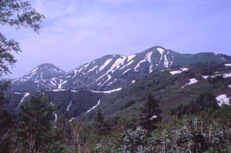 火打山(2462m) 撮影場所:笹ヶ峰~高谷池 撮影日時:2003/07/05 Highslide JS