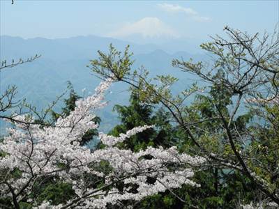桜と富士山 撮影場所:生藤山頂上 撮影日時:2012/04/29 Highslide JS