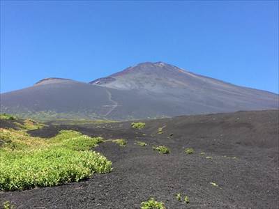 オンタデと富士アザミに導かれ、宝永火口と富士山を仰ぎ見る 撮影場所:須走口新五合目 撮影日時:2016/08/07 Highslide JS