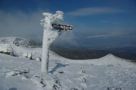 エビの尻尾の道標 撮影場所:奧岳登山道への分岐 撮影日時:2009/11/22 Highslide JS