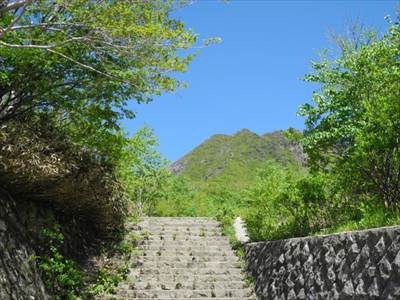 快晴のした新緑の萌えたつ峠の茶屋登山口 撮影場所:茶屋登山口 撮影日時:2013/06/09 Highslide JS