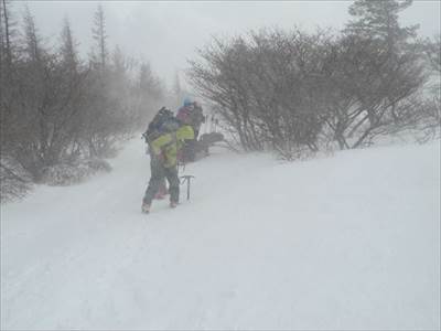 雪降る登山道 撮影場所:勢至平付近 撮影日時:2016/02/20−21 Highslide JS