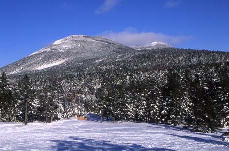 八ヶ岳 茶臼山(2384m)を望む:撮影場所:八ヶ岳麦草峠 撮影日時:2001/02/10 Highslide JS