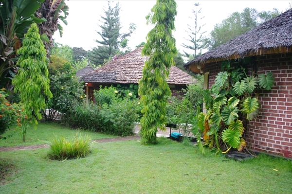 イルボル・サファリ・ロッジ内コテージ  撮影場所:イルボル・サファリ・ロッジ 撮影日時:2009/01/01 Highslide JS