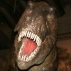 ティラノサウルス(恐竜大陸2002)