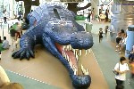 ビッグバン 〜巨大なワニの生体