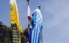 マグロのぼり?(左)&カツオのぼり(右)