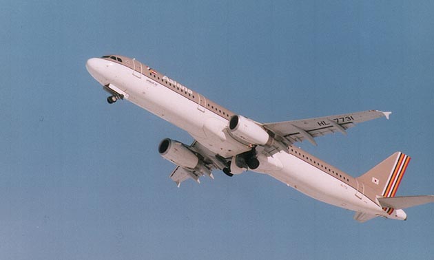 2004年に撮影した飛行機の写真 （一之助奔る）