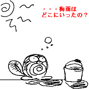 rɕɂF3.95KB