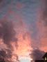 DSCF0330.jpg