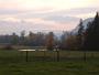 DSCF0341.jpg