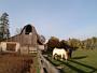 DSCF0371.jpg