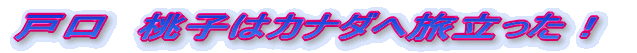 ˌ@q̓Ji_֗I