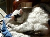 zzz