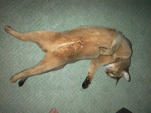 ZZZZ�E�E�E