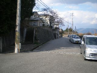 ANAO1.JPG - 35,718BYTES