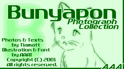 uj|ʐ^كS
@Bunyapon Photograph Collection Logo