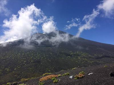 オンタデと富士アザミに導かれ、宝永火口と富士山を仰ぎ見る 撮影場所:須走口新五合目 撮影日時:2016/08/07 Highslide JS