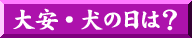 ̓E̓J_[