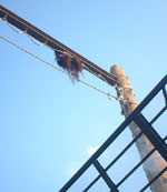 �E�[�^���K�]�E