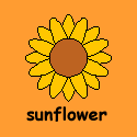 Sunflower.gif 2Kb